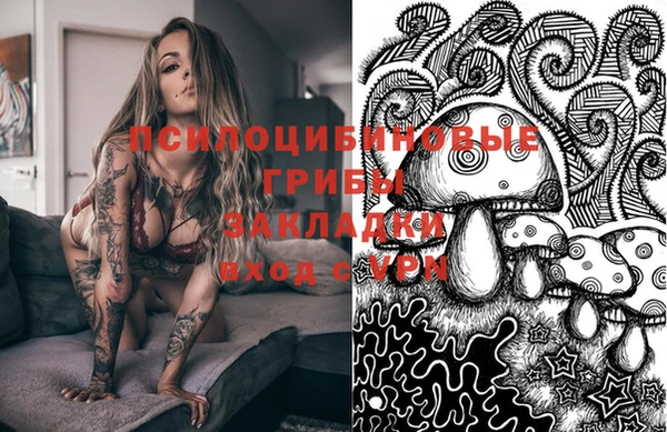 гашик Вязьма