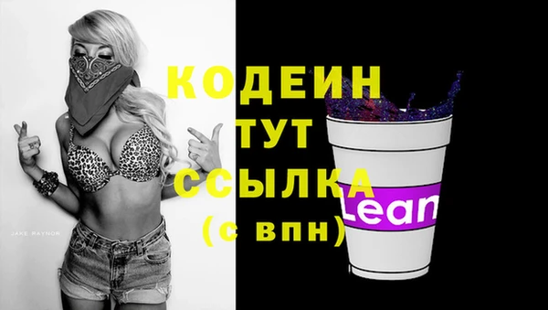 гашик Вязьма